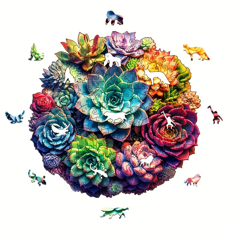 Colorful Succulent