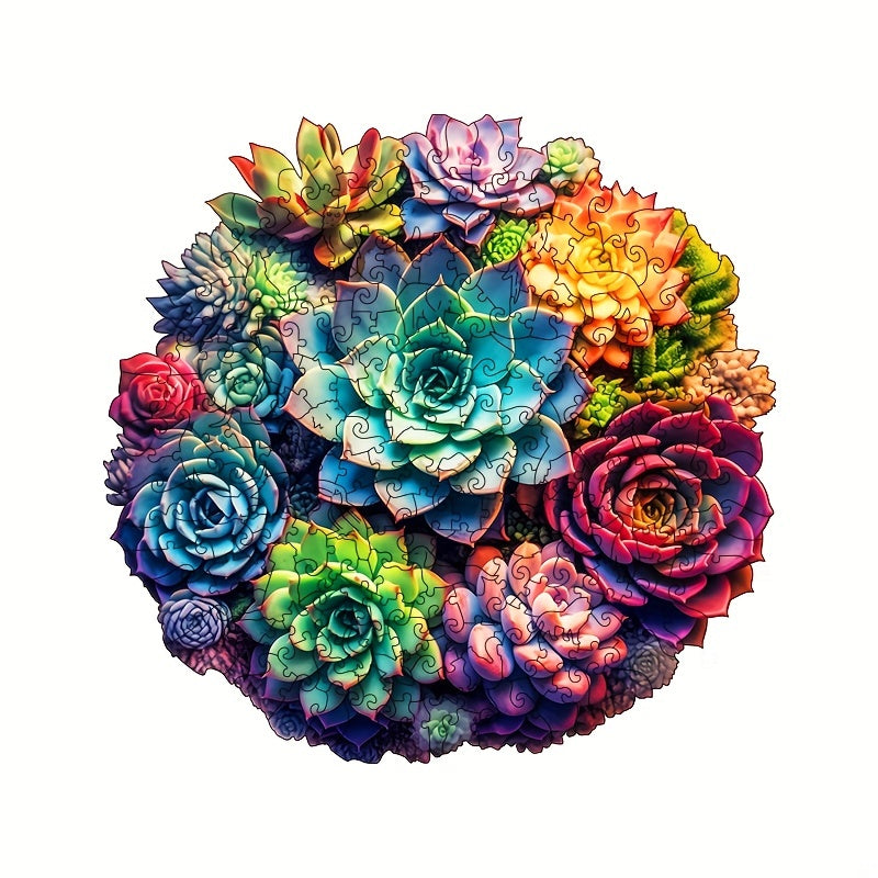 Colorful Succulent